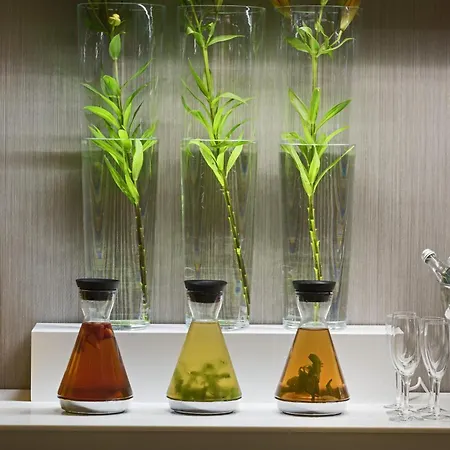 Nh Collection Liberdade